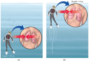 Decompression effects on lungs