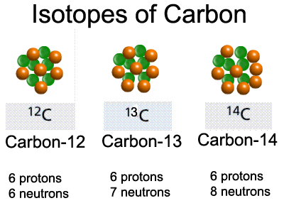 Isotopes of carbon: Carbon-12, Carbon-13, Carbon-14