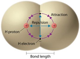 Diagram showing attraction and repulsion in a hydrogen molecule
