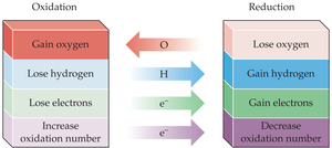 Summary diagram of oxidation and reduction processes