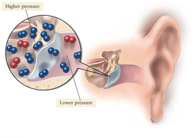Ear diagram showing pressure difference