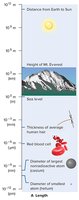 Scale of Length in the Universe