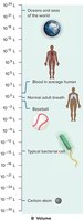Scale of Volume in the Universe