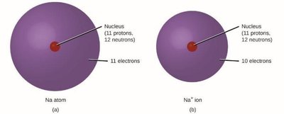 Sodium atom and sodium ion