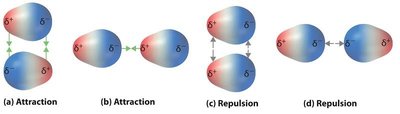 Network of dipole attractions and repulsions in liquids