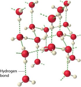 Hydrogen bonding in water and ice structure