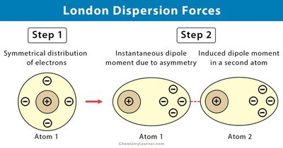 Hydrogen bonds in water