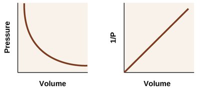 Graphs showing inverse relationship between pressure and volume, and linear relationship between 1/P and volume