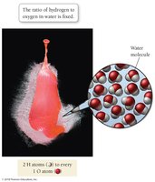 Water as a compound with fixed ratio