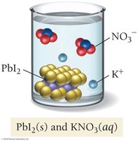 PbI2 precipitate and KNO3 in solution after reaction