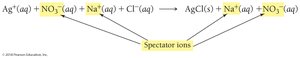 Spectator ions in a complete ionic equation