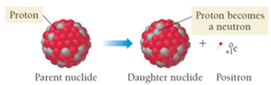 Positron emission: proton becomes a neutron and a positron is emitted.