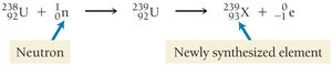 Nuclear equation for neutron bombardment of uranium.