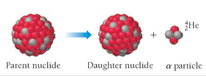 Alpha decay: parent nuclide emits an alpha particle to form a daughter nuclide.