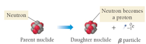 Beta decay: neutron becomes a proton and a beta particle is emitted.