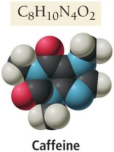 Molecular model of caffeine, a bitter alkaloid base