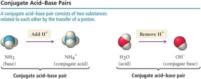 Conjugate acid-base pairs: NH3/NH4+ and H2O/OH-