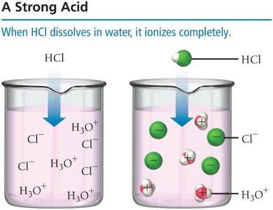Strong acid: HCl completely ionizes in water