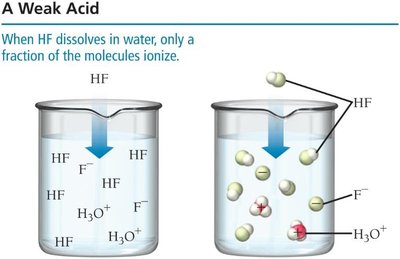 Weak acid: HF partially ionizes in water