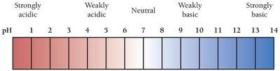 The pH scale from 0 to 14