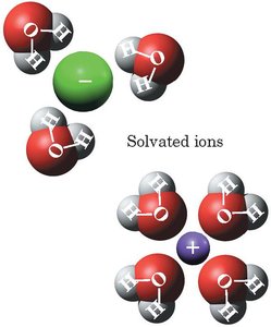 Solvated ions in water