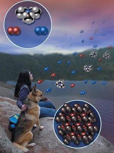 Atoms and molecules in the environment