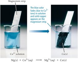 Magnesium strip in copper(II) solution, showing redox reaction