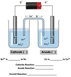 Electrolytic cell diagram with anode and cathode