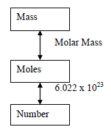 Mass-mole-number conversion diagram