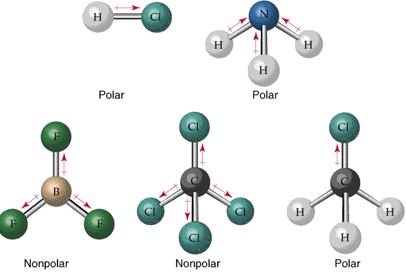 Molecular polarity examples
