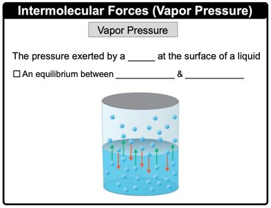 Vapor pressure diagram showing equilibrium between evaporation and condensation at the surface of a liquid