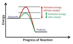 Energy profile with and without catalyst