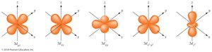 Shapes of d orbitals
