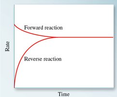 Rates of forward and reverse reactions vs. time