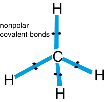 Nonpolar covalent bond in H2