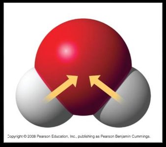 Polar covalent bond in water (H2O)
