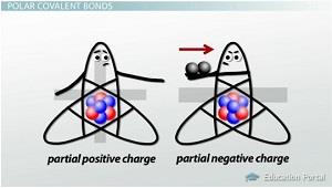 Electronegativity trends in the periodic table