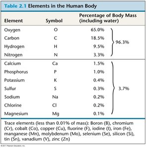 Table of elements in the human body