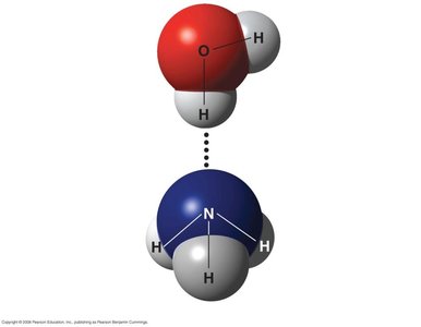 DNA double helix structure