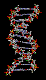 Van der Waals interactions in water