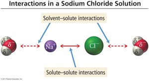 Interactions in a Sodium Chloride Solution