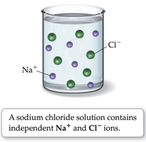 NaCl solution with independent ions