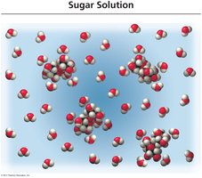 Sugar solution