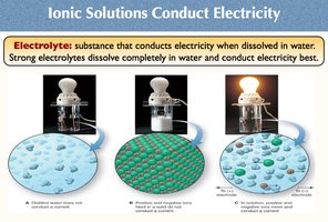 Ionic solutions conduct electricity