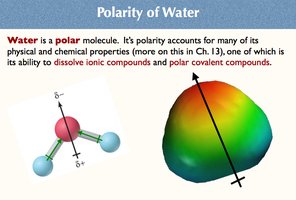 Polarity of Water