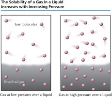 Gas solubility increases with pressure