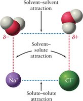 Diagram of solvent-solute and solute-solute attractions