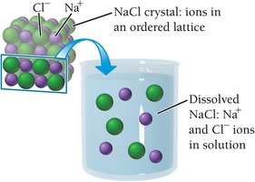 NaCl crystal dissolving in water