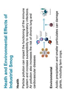 Health and environmental effects diagram