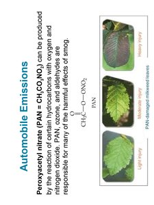 PAN effects on plants